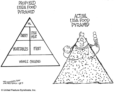 Food Pyramid